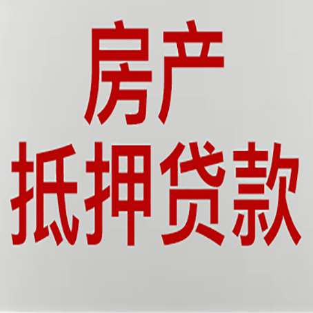 宁河贷款中介公司新渝启服能力强